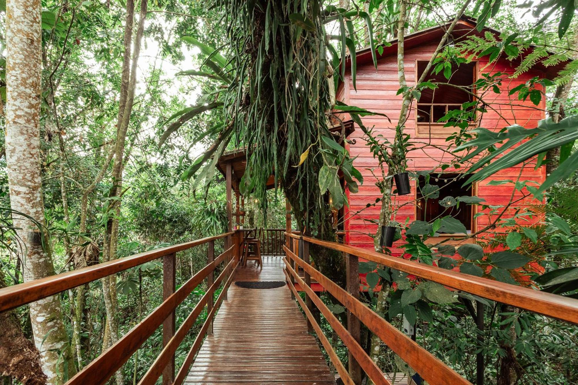 Tominejo Ecolodge - Casas En Los Arboles Neira Exterior photo
