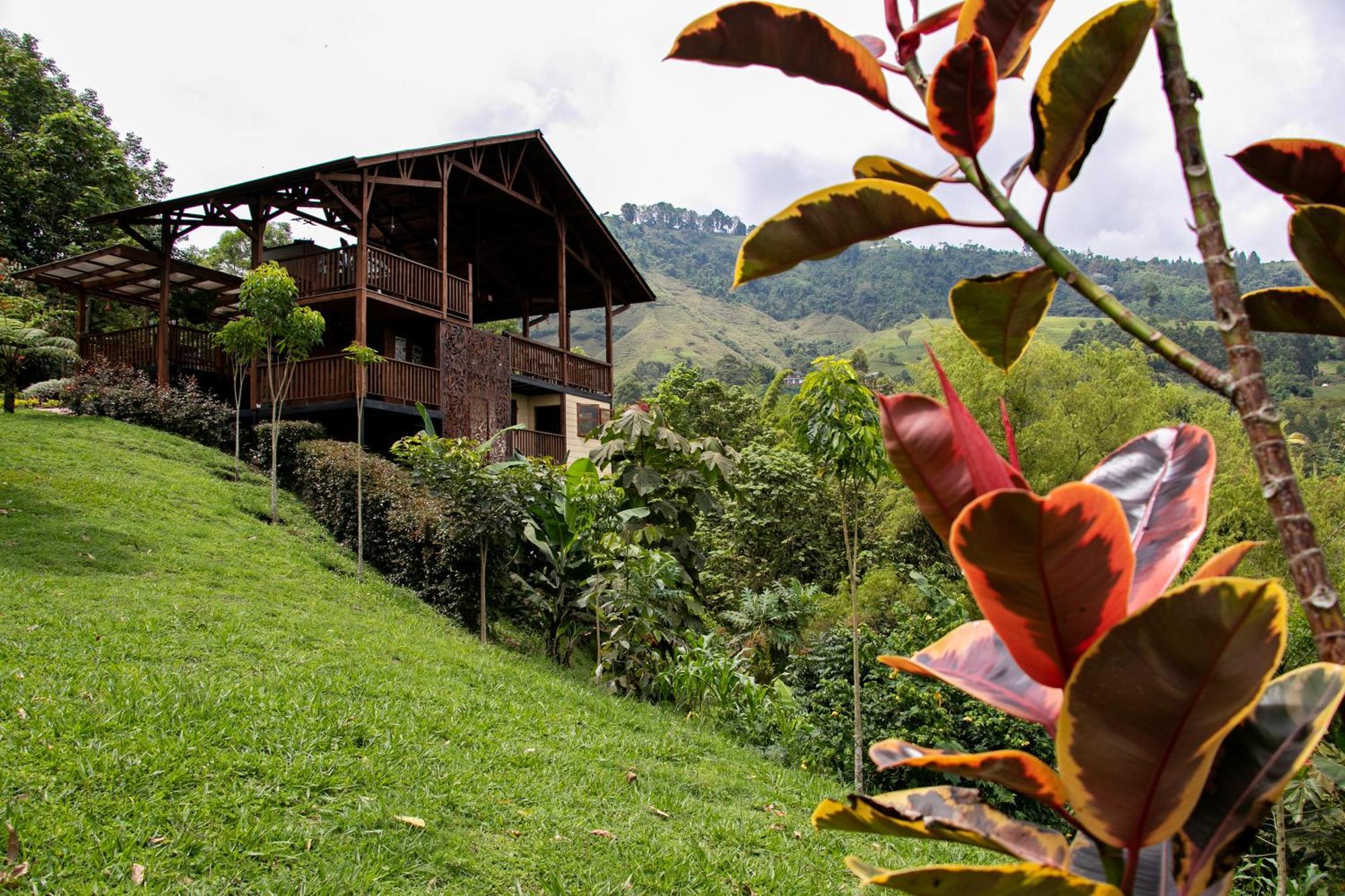 Tominejo Ecolodge - Casas En Los Arboles Neira Exterior photo